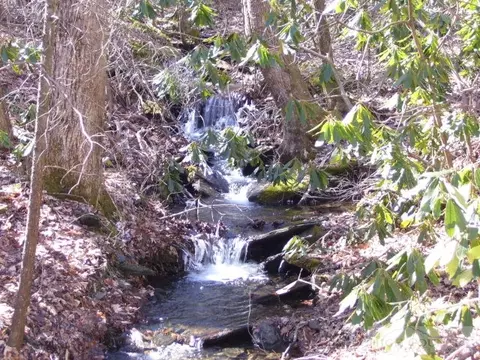 155 Doc Harris Rd, Creston, NC 28615 photo 3