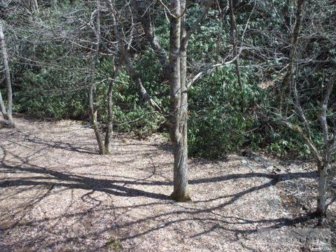 302 Hawks Lake Dr, Seven Devils, NC 28604 photo 34