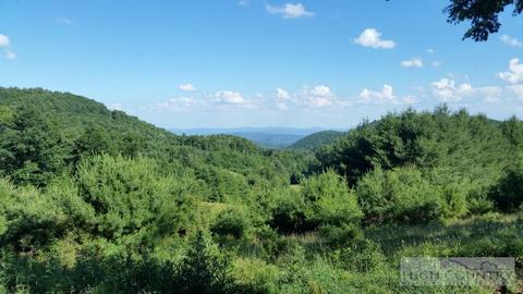 1013 Wildcat Rd, Deep Gap, NC 28618 photo 7