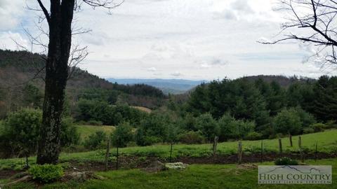1013 Wildcat Rd, Deep Gap, NC 28618 photo 9