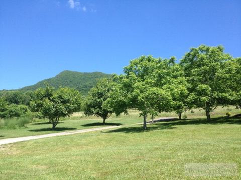 3266 Peak, Creston, NC 28615 photo 13