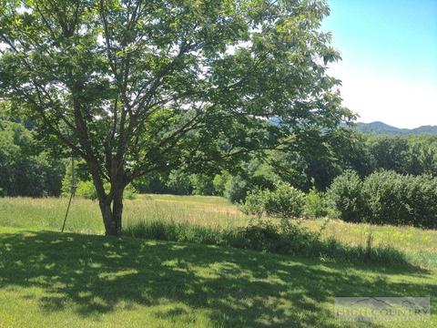 3266 Peak, Creston, NC 28615 photo 19