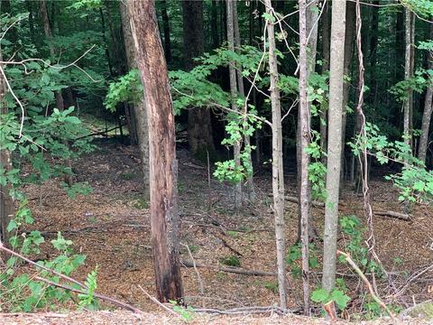 203 Locust Ridge Rd, Beech Mountain, NC 28604 photo 7