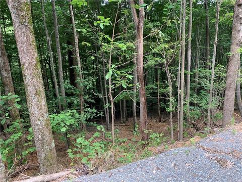 203 Locust Ridge Rd, Beech Mountain, NC 28604 photo 3