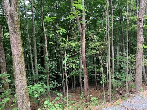 203 Locust Ridge Rd, Beech Mountain, NC 28604 photo 4