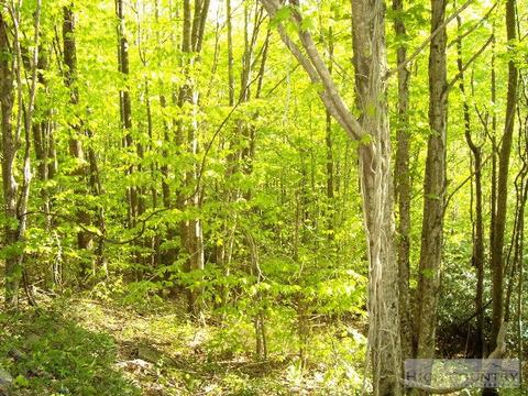 203 Locust Ridge Rd, Beech Mountain, NC 28604 photo 2