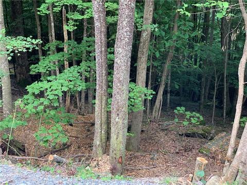 203 Locust Ridge Rd, Beech Mountain, NC 28604 photo 8