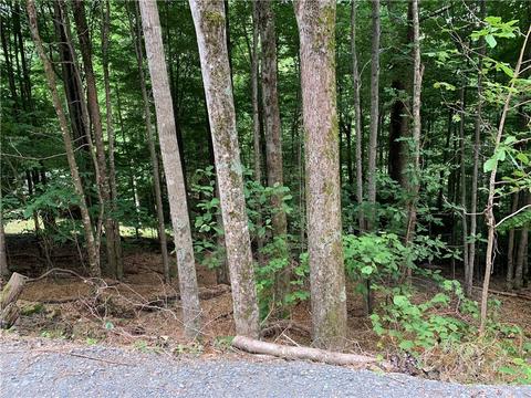 203 Locust Ridge Rd, Beech Mountain, NC 28604 photo 1