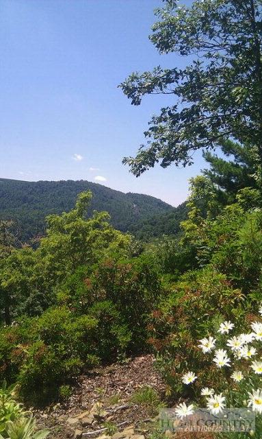 780 Ivy Ridge Rd, Deep Gap, NC 28618 photo 19