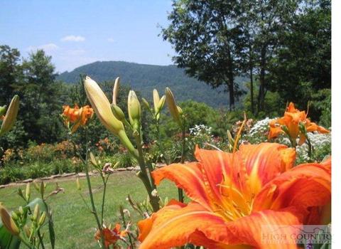 780 Ivy Ridge Rd, Deep Gap, NC 28618 photo 18