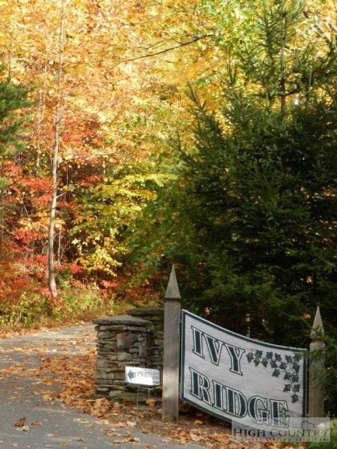 780 Ivy Ridge Rd, Deep Gap, NC 28618 photo 34