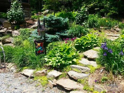 780 Ivy Ridge Rd, Deep Gap, NC 28618 photo 30