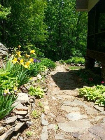 780 Ivy Ridge Rd, Deep Gap, NC 28618 photo 29