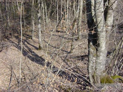345 Locust Ridge Rd, Beech Mountain, NC 28604 photo 4