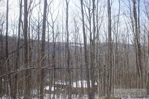 345 Locust Ridge Rd, Beech Mountain, NC 28604 photo 2