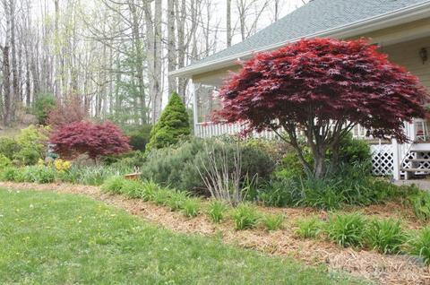 764 Fieldstream Dr, Boone, NC 28607 photo 23