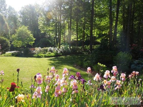 764 Fieldstream Dr, Boone, NC 28607 photo 24