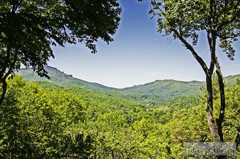 100 Poplar, Boone, NC 28607 photo 18