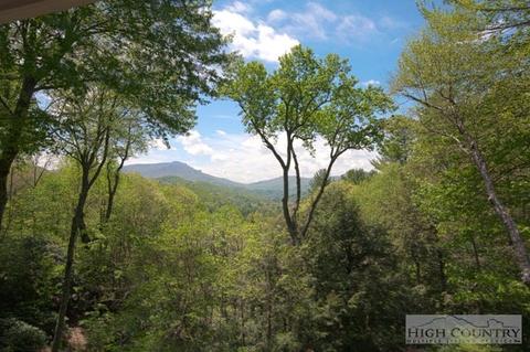 100 Poplar, Boone, NC 28607 photo 17