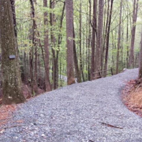 181 Quickstop Trl, Deep Gap, NC 28618 photo 17