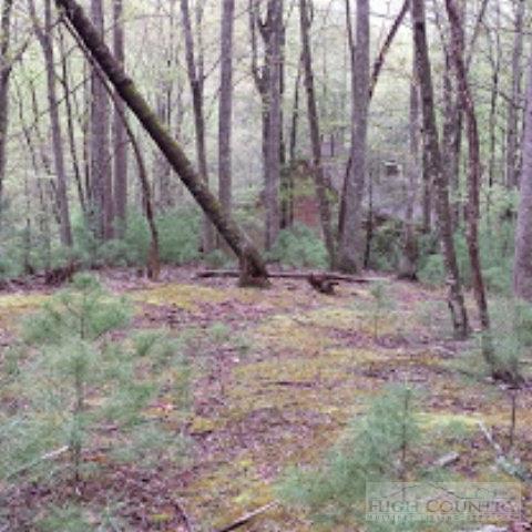 181 Quickstop Trl, Deep Gap, NC 28618 photo 16