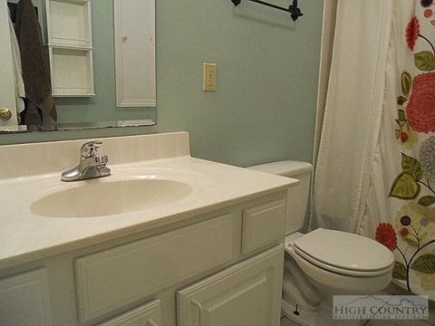 310 Lynn Hl, Boone, NC 28607 photo 3
