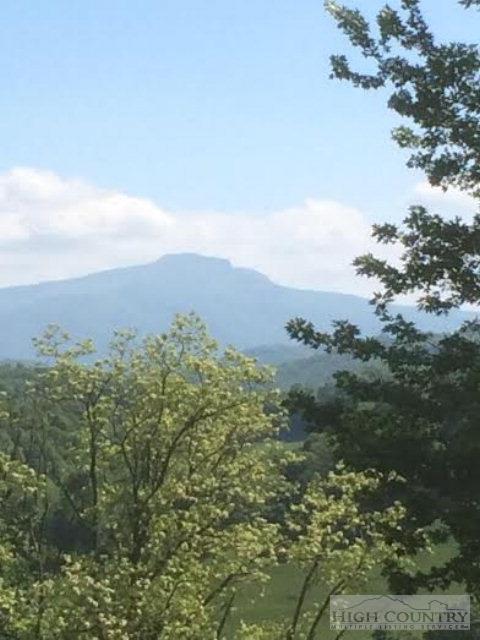 310 Lynn Hl, Boone, NC 28607 photo 16