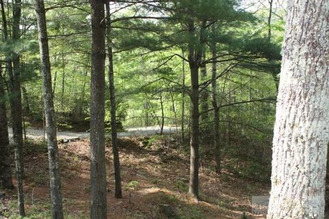 3543 Wildcat Rd, Deep Gap, NC 28618 photo 7