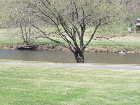 3252 Willie Brown Rd, Crumpler, NC 28617 photo 3