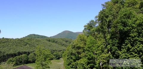 201 Locust Hl, Boone, NC 28607 photo 26