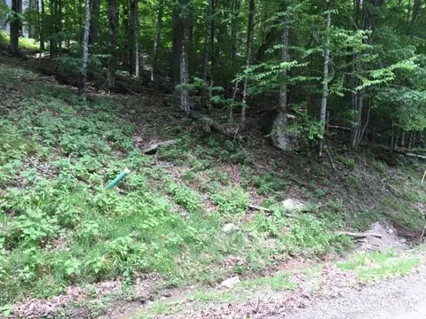 233 Lakeledge, Beech Mountain, NC 28604 photo 2