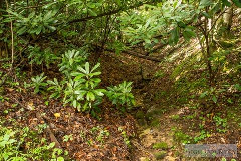 321 Wes Randall Rd, Deep Gap, NC 28618 photo 5