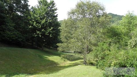 1180 Spencer Branch Rd, Lansing, NC 28643 photo 12
