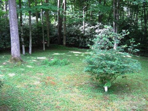 68 Lady Slipper Loop, Newland, NC 28657 photo 18