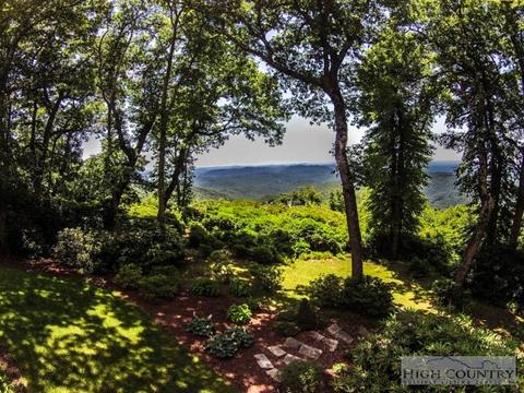137 Strawberry Path, Boone, NC 28607 photo 34