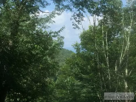 232 Birchwood Ln, Beech Mountain, NC 28604 photo 4