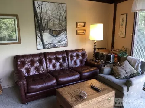 232 Birchwood Ln, Beech Mountain, NC 28604 photo 8