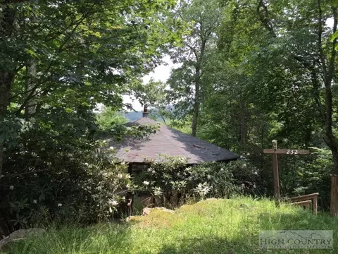 232 Birchwood Ln, Beech Mountain, NC 28604 photo 5
