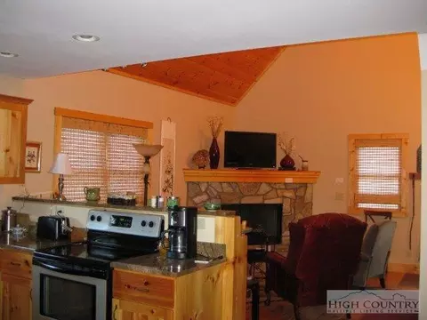 113 Black Birch, Beech Mountain, NC 28604 photo 7