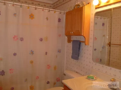 130 Teaberry Dr, Boone, NC 28607 photo 15
