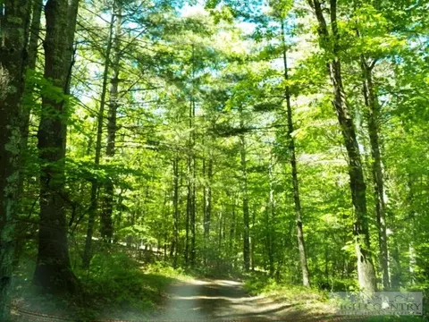 482 Four Coves Trl, Crumpler, NC 28617 photo 19
