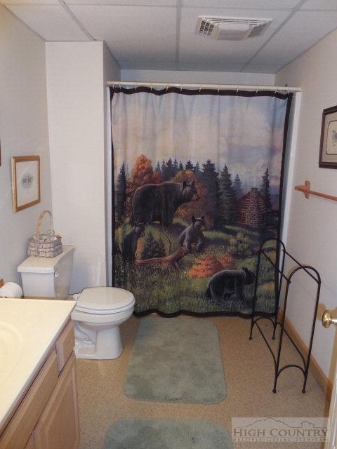 205 Hawks Lake Dr, Seven Devils, NC 28604 photo 22