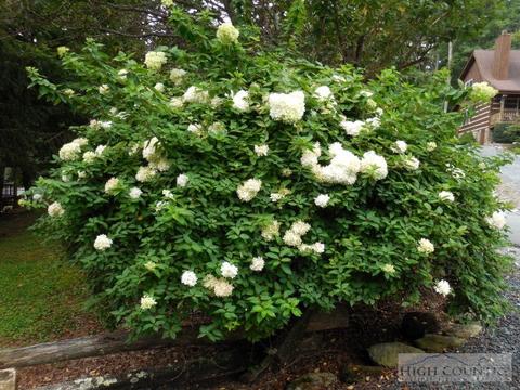 205 Hawks Lake Dr, Seven Devils, NC 28604 photo 27