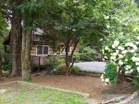205 Hawks Lake Dr, Seven Devils, NC 28604 photo 19