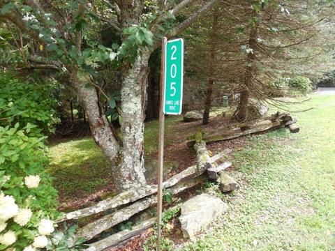 205 Hawks Lake Dr, Seven Devils, NC 28604 photo 2