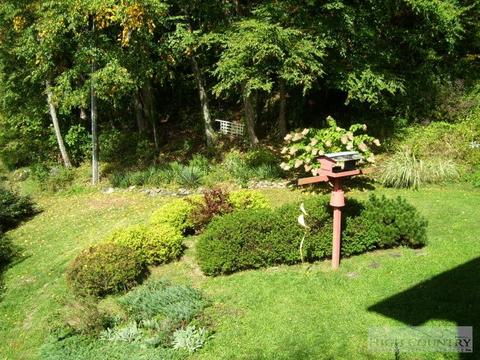 2530 Bear Wallow Rd, Lansing, NC 28643 photo 13