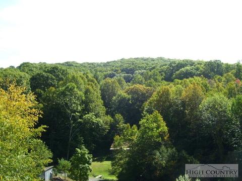 2530 Bear Wallow Rd, Lansing, NC 28643 photo 3