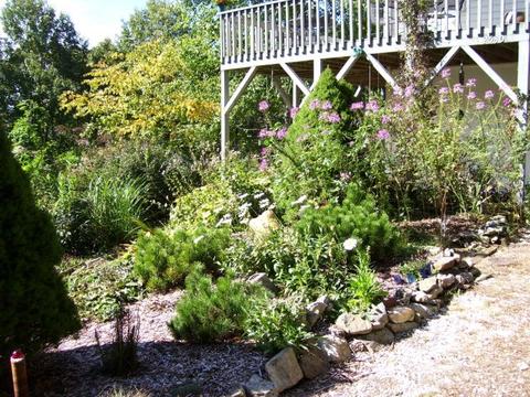 2530 Bear Wallow Rd, Lansing, NC 28643 photo 11