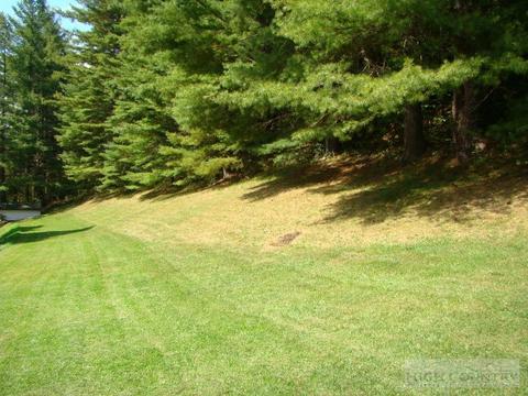 1924 Laurel Fork Rd, Vilas, NC 28692 photo 4