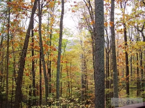 123 Saddle Ln, Deep Gap, NC 28618 photo 4